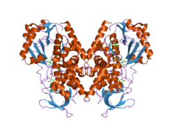 PDB 2bxr EBI.png