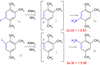 Radical-nucleophilic aromatic substitution Bunnett 1970
