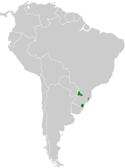 Scytalopus pachecoi map.svg