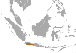 Silvery Gibbon area.png