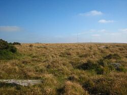 Stone circle on Craddock Moor - geograph.org.uk - 1511039.jpg