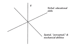 Verbal perceptual model.png