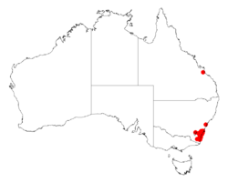 Acacia mabellaeDistMap564.png