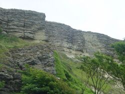 Blackgang Cliffs - geograph.org.uk - 25067.jpg