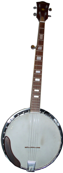 Bluegrass banjo.png