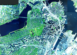 Map of urban tree canopy in Boston. Remote sensing allows collection of data using sources including satellites.