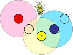 Competitive LV Spatial Bee Example.JPG