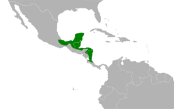 Crypturellus boucardi map.svg