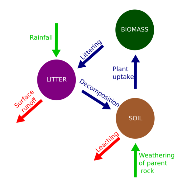 File:Nutrient cycle.svg