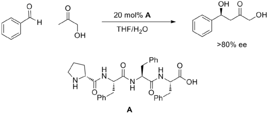 Oligopeptide catalyzed aldol.png
