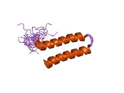 PDB 1ysm EBI.jpg