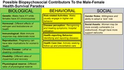 Possible Biopsychosocial Contributors To the Male-Femal Health-Survival Paradox.pdf