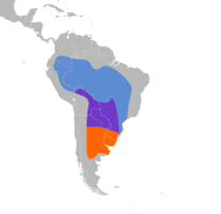 Pyrocephalus rubinus map.svg