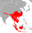 Throughout much of South Asia, southern and central China and Southeast Asia