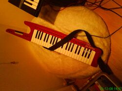 Roland AX-1 keytar midi controller.JPG