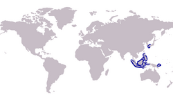 S. macrolepis distribution.PNG