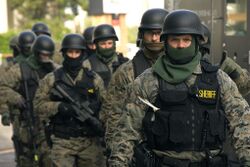 SWAT team prepared (4132135578).jpg