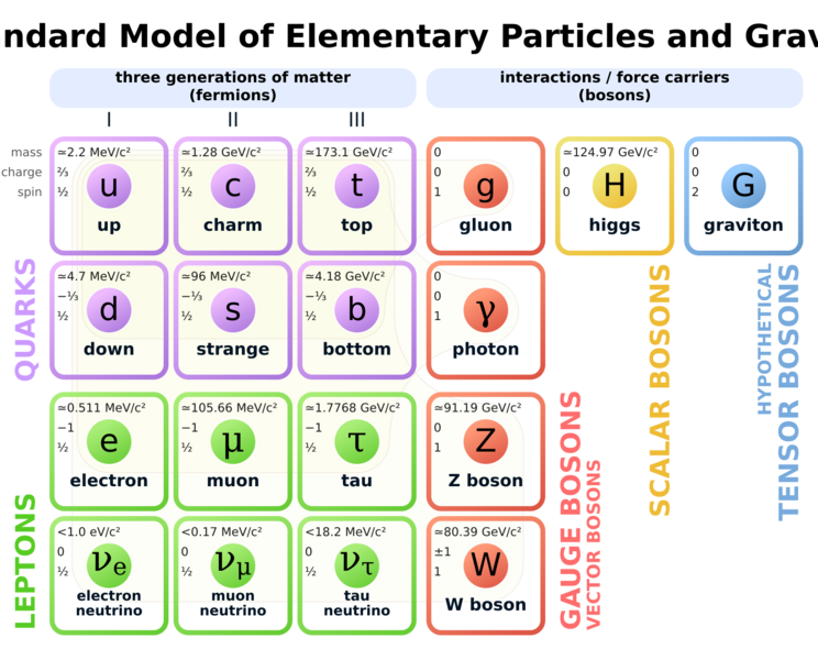 File:Standard Model of Elementary Particles + Gravity.svg