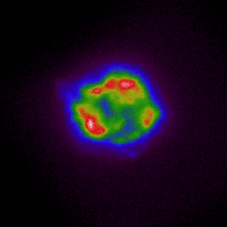 This image from NASA’s Imaging X-ray Polarimetry Explorer maps the intensity of X-rays coming from the observatory’s first target, the supernova Cassiopeia A.png