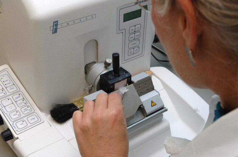 File:Tissue processing - Microtome is used to cut a ribbon of 5-micron-thick sections from the paraffin block.jpg