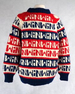 "WIN" patterned sweater.JPG