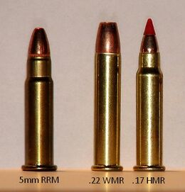 5mm Remington Rimfire Magnum.jpg