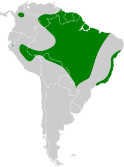Anurolimnas viridis map.svg