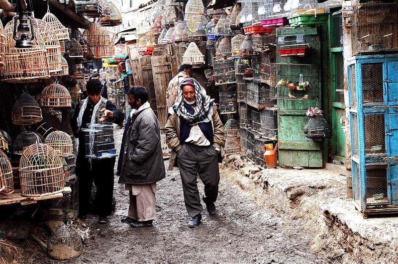 File:Bird Market Kabul.jpg