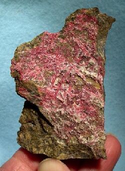 Cinnabar-172403.jpg