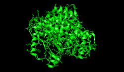 Citrate synthase Closed form.png