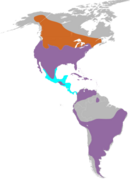 Widespread in North, Central and South America