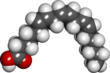 Gamma linolenic acid spacefill.png