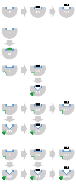 File:Inhibition schematic (reversible).svg