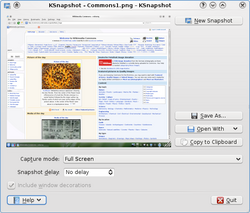 KSnapshot-0.8.1-KDE4.1.png