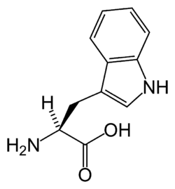 L-tryptophan-skeletal.png