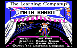 Math Rabbit.gif