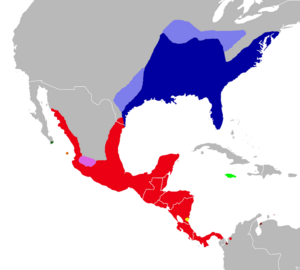 Map showing distribution of Oryzomys in the eastern United States, Mexico and Central America