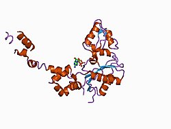 PDB 1bpe EBI.jpg