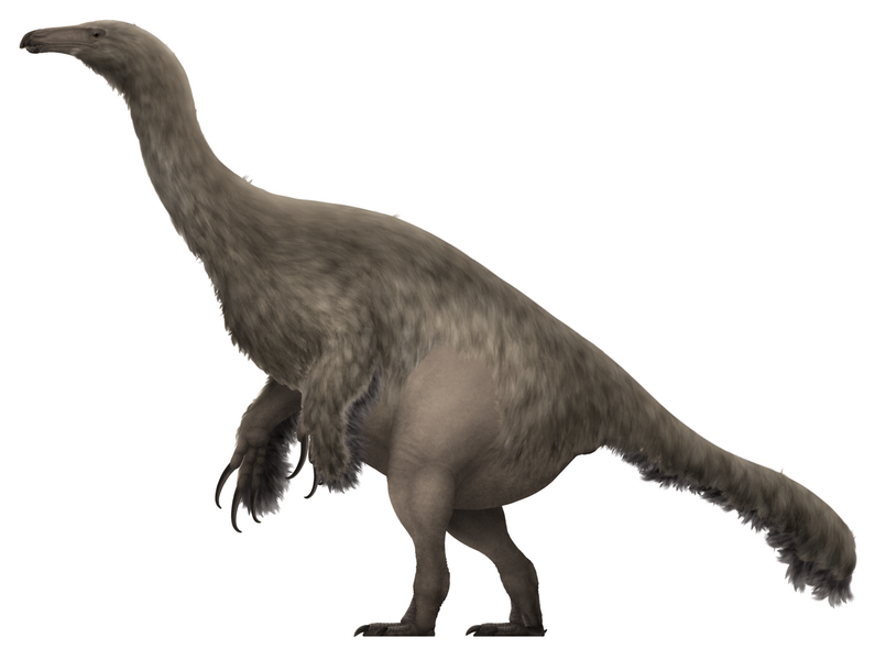 File:Paralitherizinosaurus Restoration.png