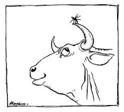 Rackham-gnat and bull.jpg