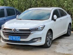 Senova Zhidao IMG001.jpg