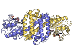 Streptomyces kanamyceticus imine reductase PDB 3ZHB.png