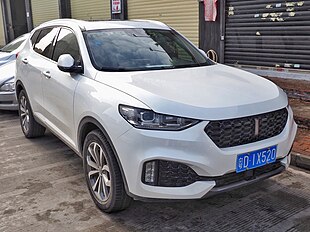 2018 WEY VV6.jpg