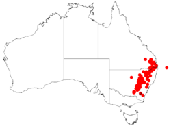 Acacia leucocladaDistMap534.png