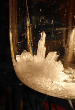 Crystals ammonium sulfate.jpg