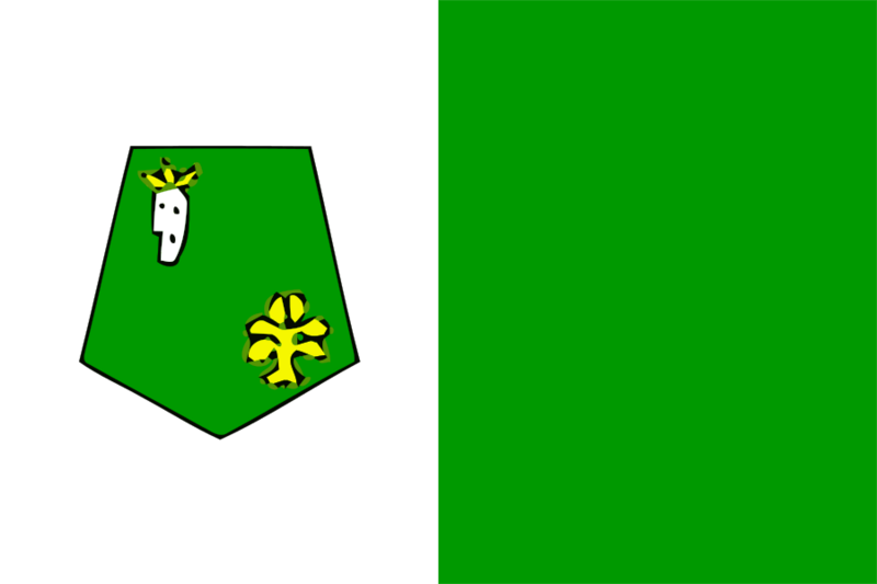 File:Flag of Kenitra province.svg