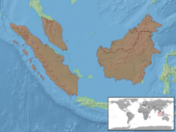 Gonocephalus grandis distribution.png