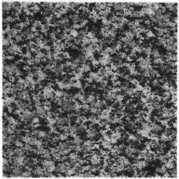 File:Granite PlateXIII MD Geological Survey Volume 2.jpg