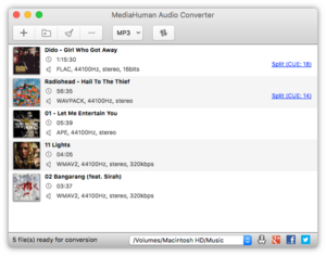 MediaHuman Audio Converter screenshot.png