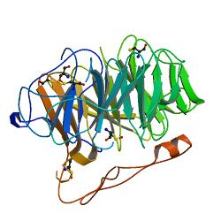 PBB Protein CORO1A image.jpg